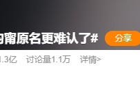 “张钧甯原名更难认了”上热搜,多名艺人真名公布!