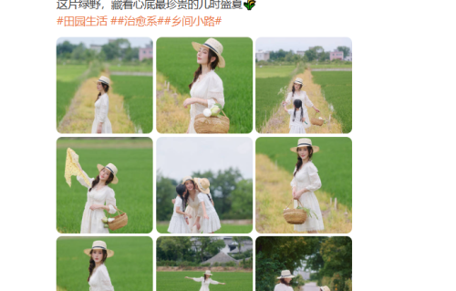 方媛一袭白裙漫步稻田，从容享受亲子时光，与郭富城感情惹人羡