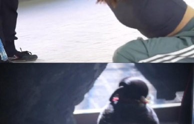 网友对吴谨言用真蛇拍戏有什么评价？
