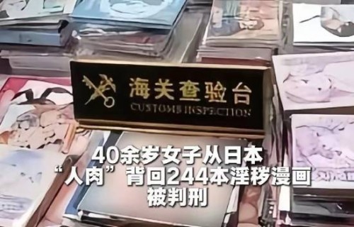 从日本“人肉”带回244本本子 获刑一年半