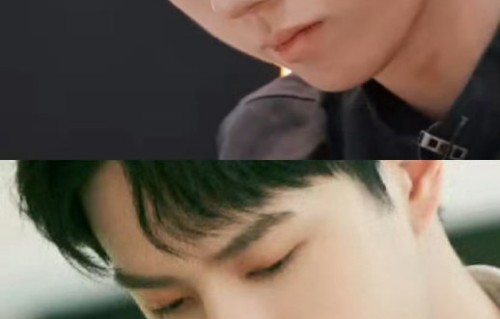 芒果TV《家乡美食大赛》素人厨师胡北辰的真实身份是什么？