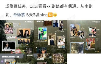 粉丝如何看待杨紫近期“特种兵”式的高强度工作节奏？