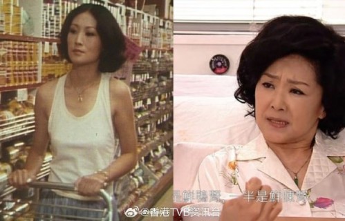 港剧贵妇专业户苗金凤 完整个人资料整理