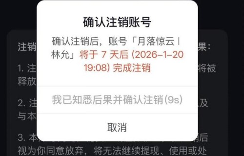 林允站姐突然宣布关站,引发舆论猜测