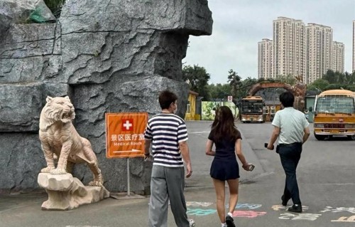 偶遇贾乃亮和甜馨回东北过暑假，父女俩一起逛虎园，画面温馨有爱