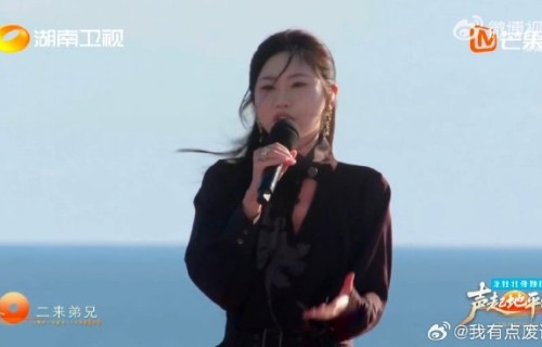 《壁上观》的原唱歌手张曦匀还演唱过哪些作品？|珠帘寨|国风|戏腔|京剧|单曲