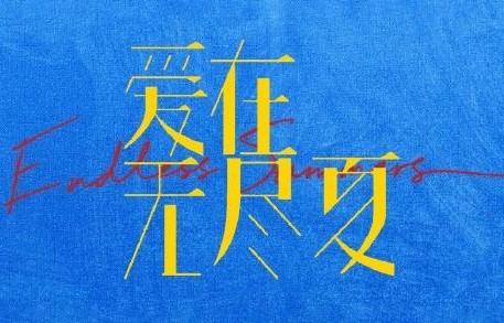 丁禹兮孟子义的《爱在无尽夏》讲什么故事？