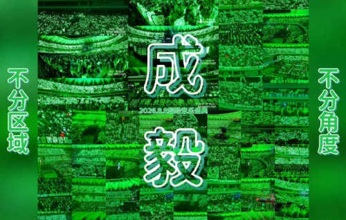 成毅音乐节现场粉丝应援规模有多大？