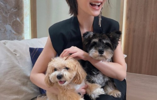 杨丞琳为什么一直用假发造型而不留长发？