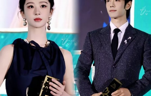 肖战和杨紫本次都获得了白玉兰什么提名？