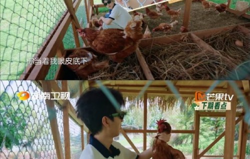 王俊凯霸凌王源的所谓证据从何而来？