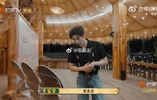 田曦薇在新综艺《忙忙碌碌寻宝藏2》中的表现和与王安宇的合作如何？