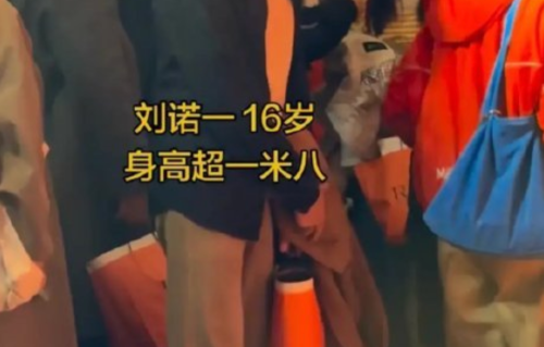 刘烨16岁混血儿子诺一近照曝光！身高快190cm颜值惊艳