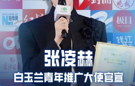 之前有95后演员担任过这个职位吗？