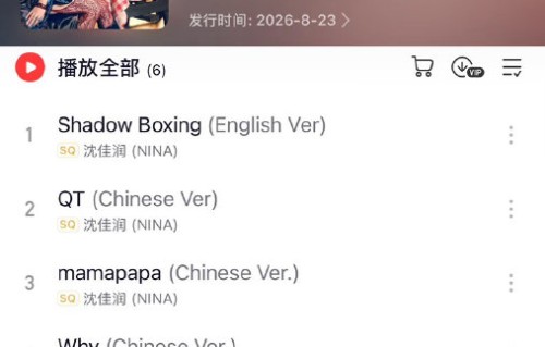 沈佳润在专辑创作中参与了哪些部分？