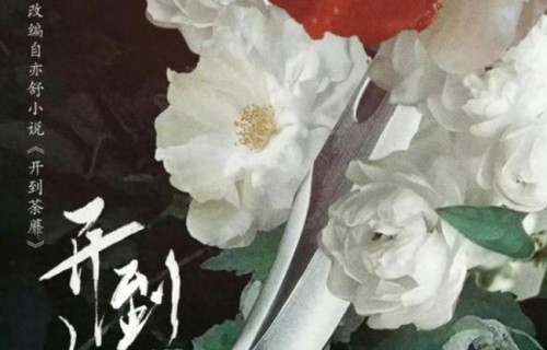 白鹿新剧开机应援人数 五千粉丝热情支持