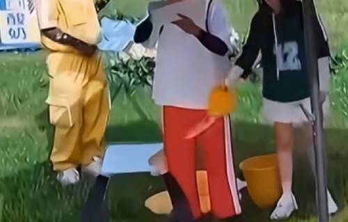 白鹿综艺争议具体是怎么回事？