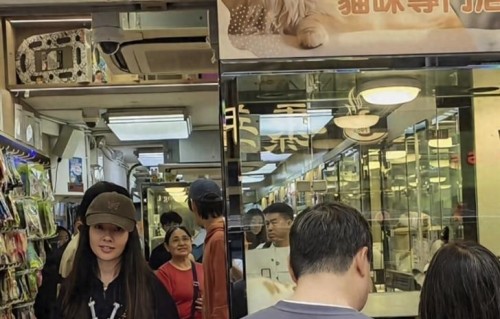郭碧婷香港金鱼街被偶遇，与向佐一起逛宠物店，素颜也很美！