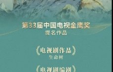 白玉兰视后杨紫在金鹰奖的竞争对手有哪些？