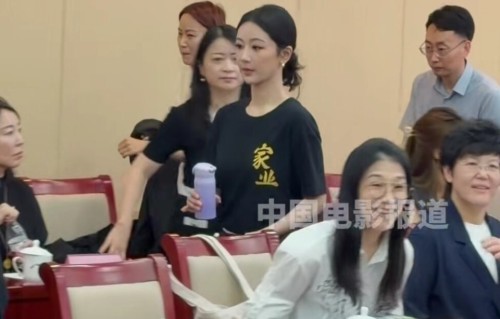《家业》演员参加广电座谈会，杨紫扛住央视镜头，狠狠代入高干文女主