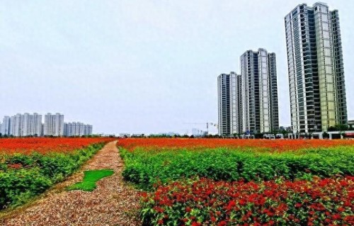 女人对你动了真情，会给你这6个暗示，大胆靠近，她其实在等你