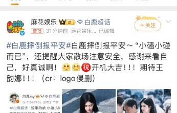白鹿摔倒后身体是否已完全恢复？