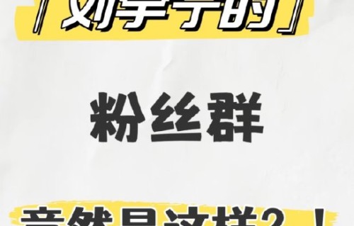 刘宇宁粉丝群的“等级编号”具体有什么用途？