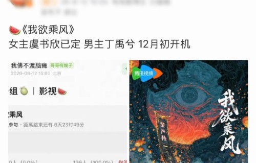 虞书欣和丁禹兮此前合作过哪些电视剧？