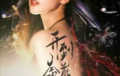 白鹿的新剧《开到荼蘼》的剧情介绍