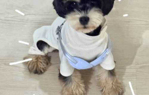 郝熠然翻牌互动中，具体有哪些引发粉丝共鸣的金句或事例？|云旗|偶像|情感|饺子|星光