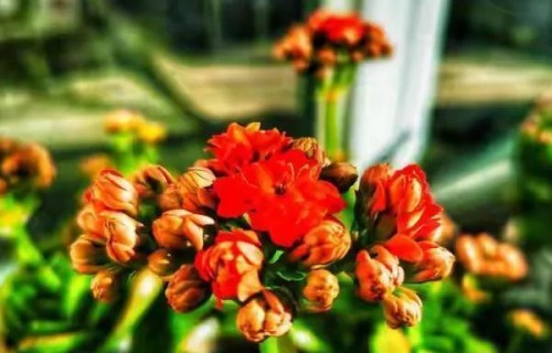 老了才彻底悟透人过七十，要想多享几年清福，得狠狠守住这5件事_1785538145758