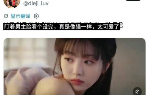 田曦薇的猫是什么品种？