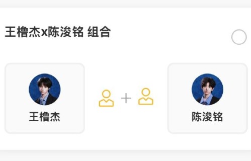 其他粉丝为什么会帮橹铭组合投票？|陈浚铭|王橹杰|舞台|圈层|拉票