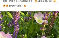 李金铭本人对于这起持续多年的纠纷是怎么回应的？