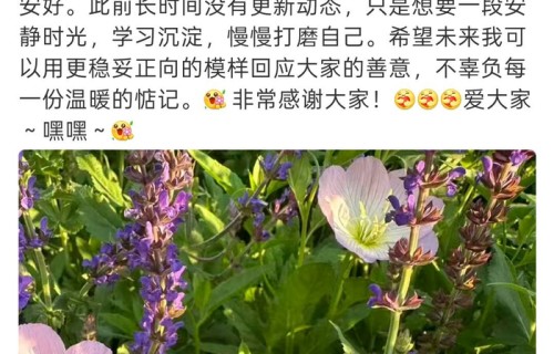 李金铭深夜发声:十二年前的“农村儿媳”闹剧,该体面落幕了|明星到我家|节目|节目组|剧本|家庭