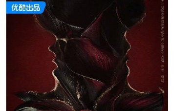 粉丝对《赢家》‘大女主’和‘双强’定位的争议焦点是什么？