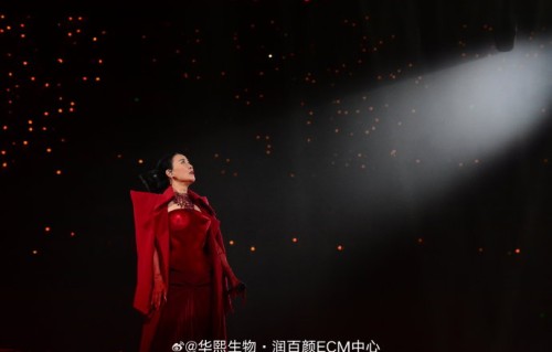 那英全开麦无修音的现场表现有多震撼？|梦醒了|山不转水转|征服|肖战|演唱会