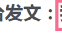 人民日报终于出手！不点名批谢娜：全文没提她，但字字在打她的脸
