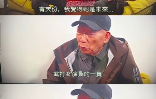 导演袁和平如何评价陈丽君的表现？