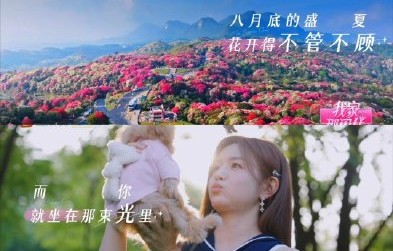 《我家那闺女2026》开播后口碑和网友评价如何？