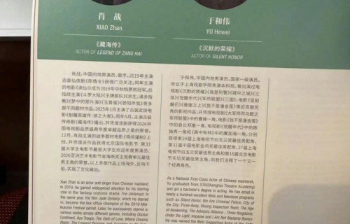 肖战“白玉兰场刊”补充,拿过金扫帚,射雕零入围,多剧评分很低