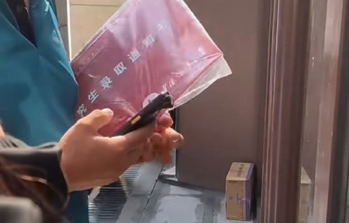贺峻霖中传研究生录取通知书的快递单号是多少？