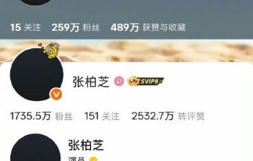 网友如何评价张柏芝的悼念方式？