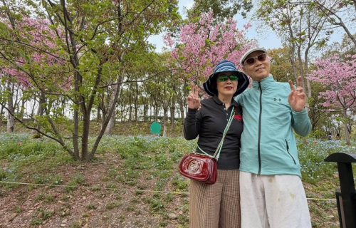 有一种爱情叫“汪明荃与罗家英”：快80岁了还能在樱花下紧紧相拥