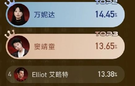 齐豫在《躲歌王》中合唱的小男孩身份公布了吗？