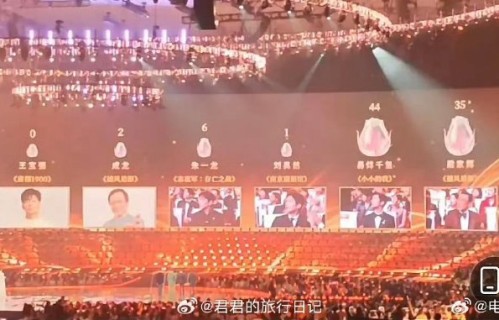 沈腾和王宝强未来还有机会获得主流电影奖项吗？|票房|百花奖|喜剧|尴尬|金马