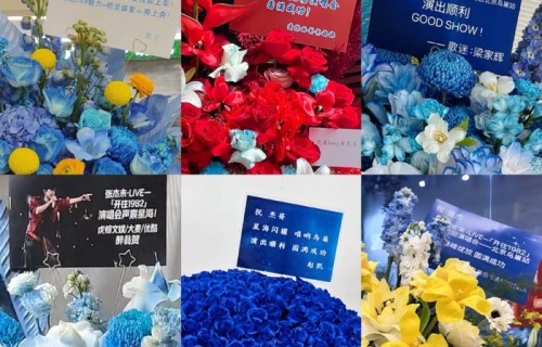 黄子弘凡单依纯为张杰演唱会送花篮