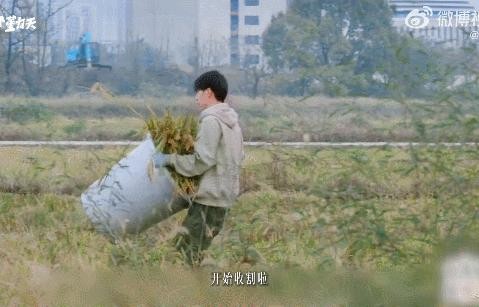 劳作190天成团的十个勤天,和综艺《种地吧》是什么关系