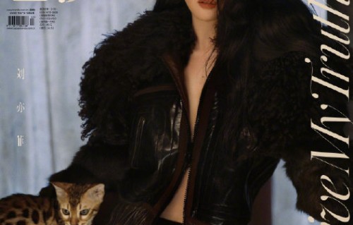 刘亦菲金九芭莎封面中与豹猫和流浪狗同框的拍摄背后有何故事？