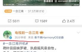 王安宇和赵今麦在剧中分别饰演什么角色？
